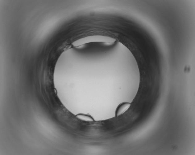 X0000110700382200907101227
