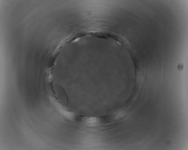 X0000110700383200907101227