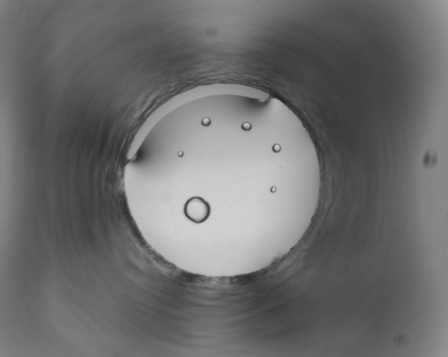 X0000110700384200907101227