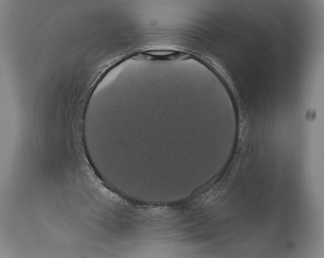 X0000110700385200907101226