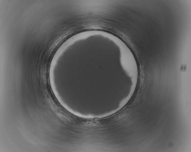 X0000110700386200907101226
