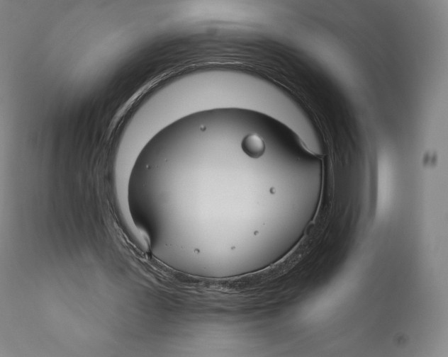 X0000110700387200907101226
