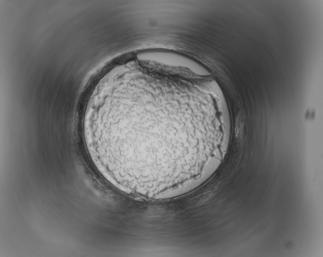 X0000110700388200907101226
