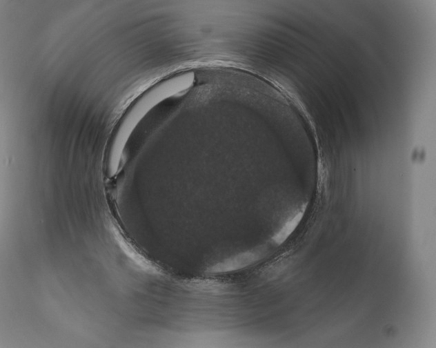 X0000110700389200907101226