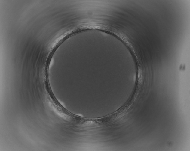 X0000110700390200907101226