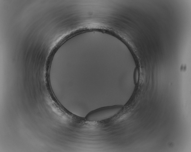 X0000110700391200907101226