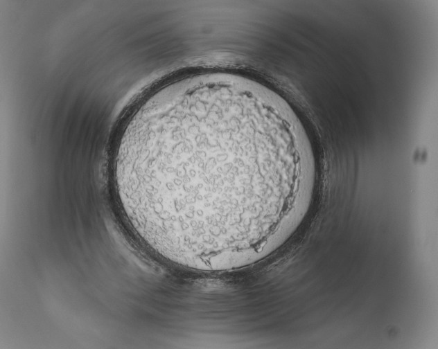 X0000110700392200907101226