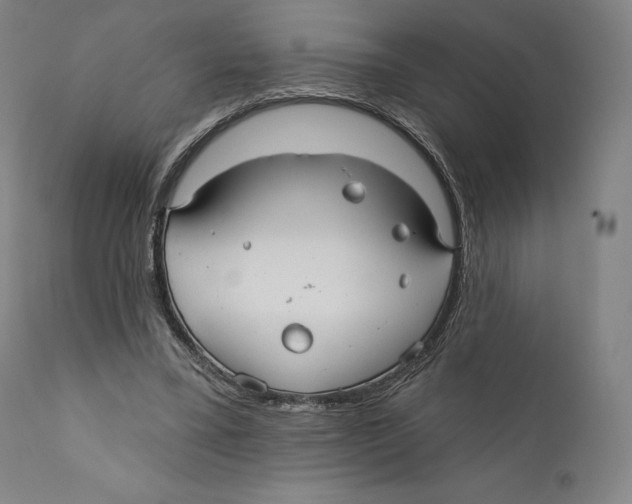 X0000110700395200907101226
