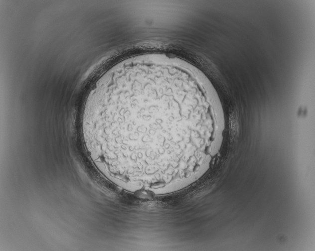 X0000110700396200907101226