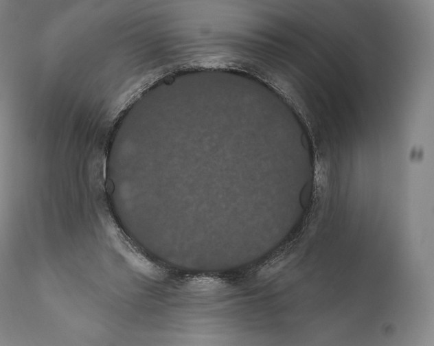 X0000110700397200907101226