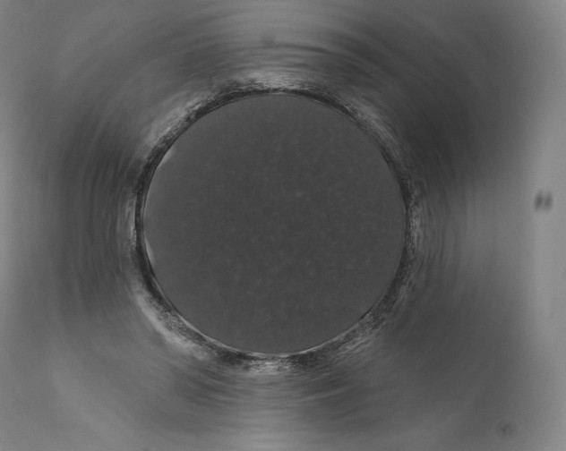 X0000110700398200907101226