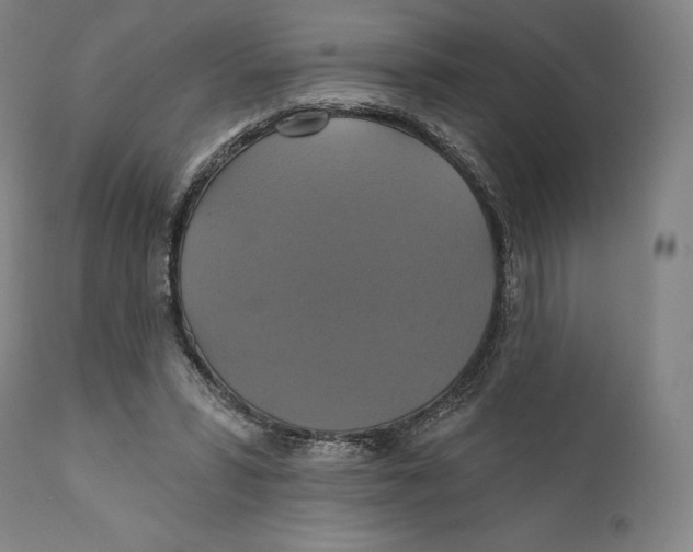 X0000110700399200907101226