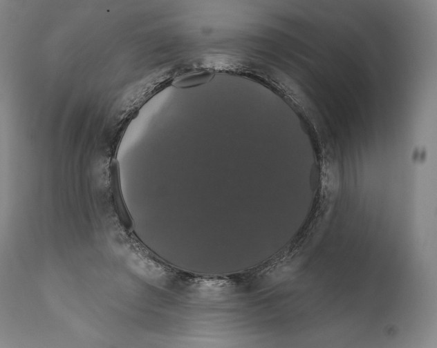 X0000110700401200907101226