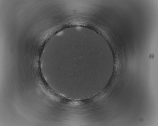 X0000110700402200907101226