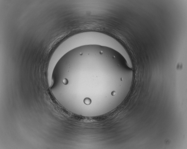 X0000110700403200907101226