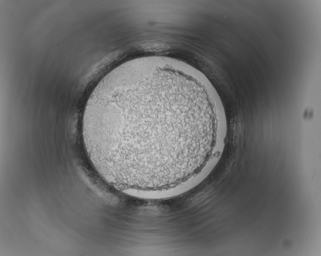 X0000110700404200907101226