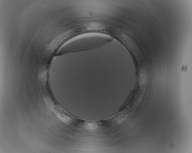 X0000110700405200907101226