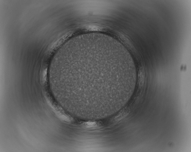 X0000110700406200907101226