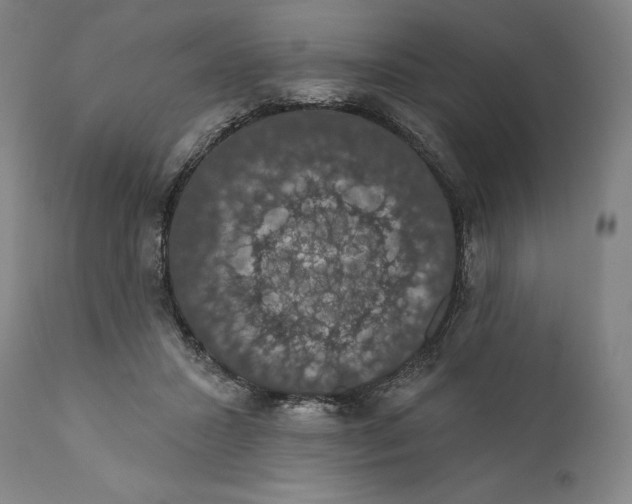 X0000110700407200907101226