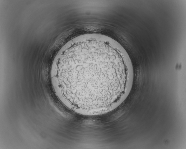 X0000110700408200907101226