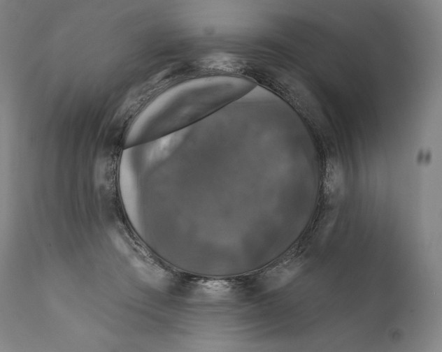 X0000110700409200907101226