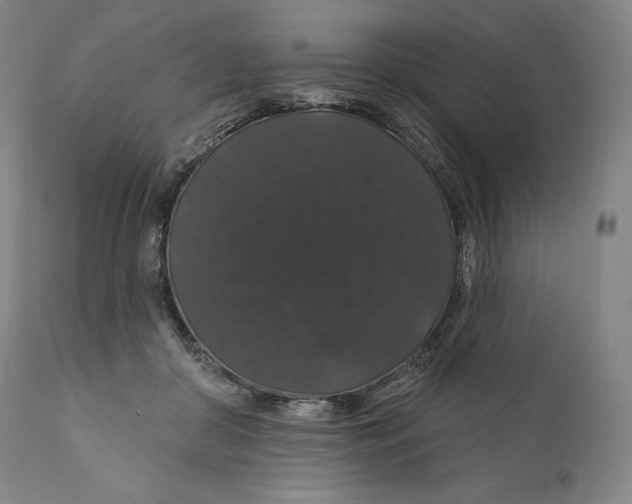 X0000110700410200907101226
