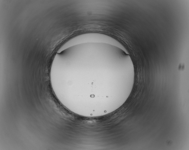 X0000110700411200907101226
