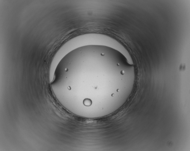 X0000110700413200907101226