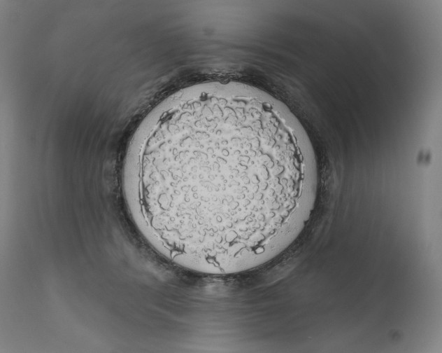 X0000110700416200907101226