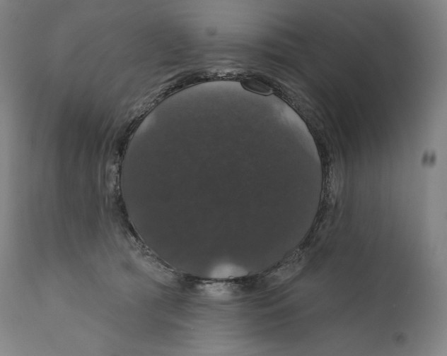 X0000110700417200907101226