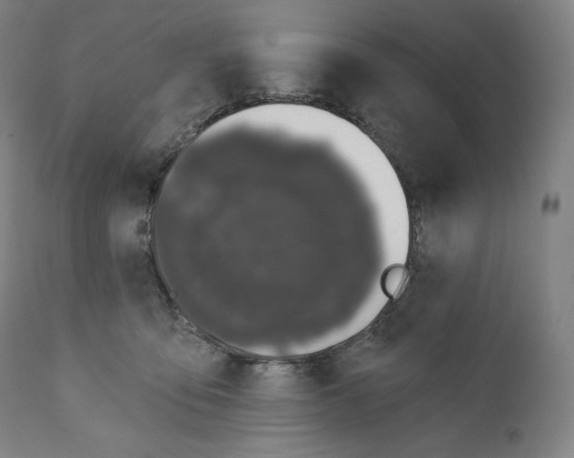 X0000110700419200907101225