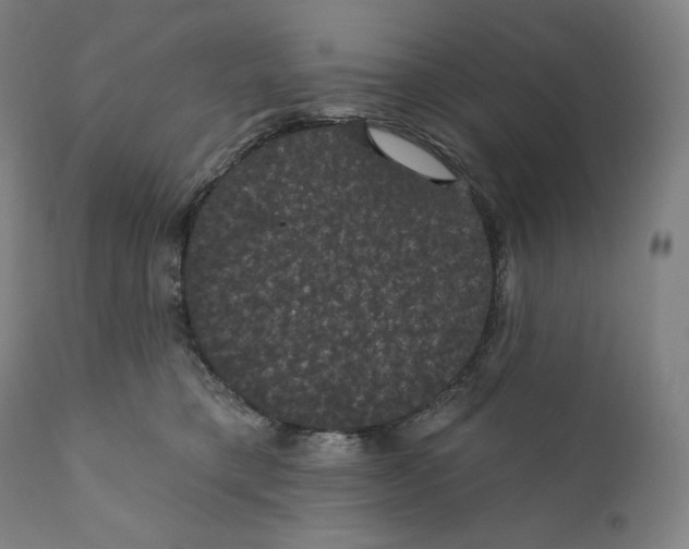 X0000110700421200907101225