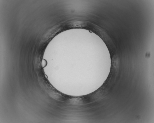X0000110700422200907101225