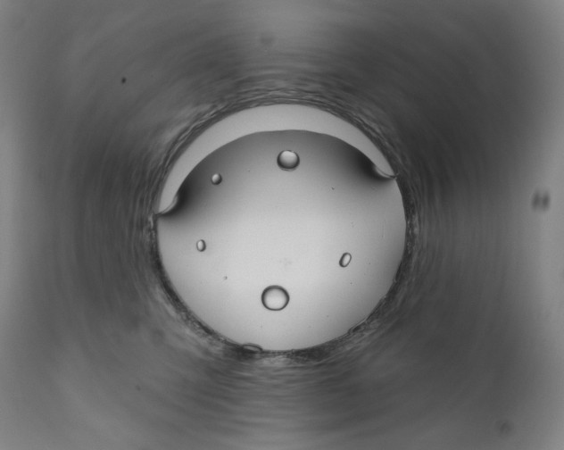 X0000110700423200907101225