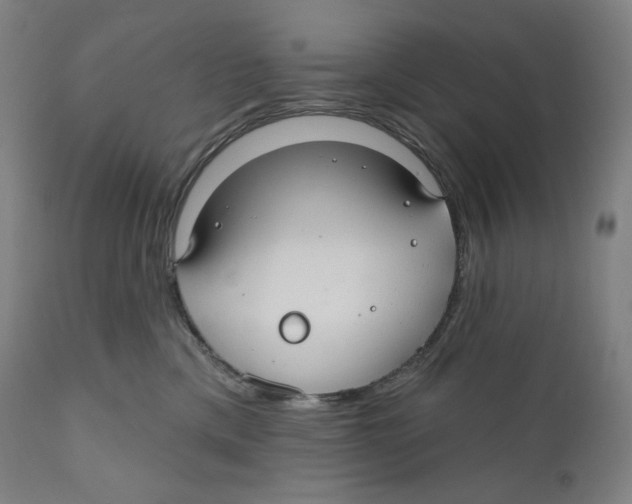 X0000110700425200907101225