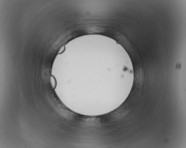 X0000110700426200907101225