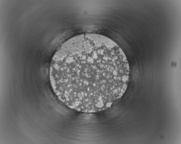 X0000110700427200907101225