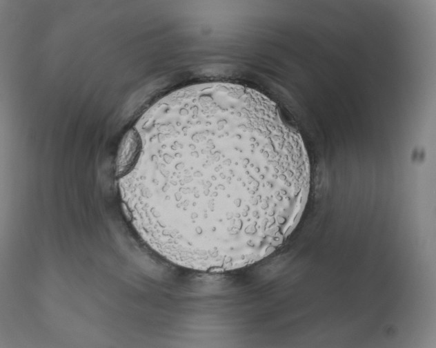 X0000110700428200907101225