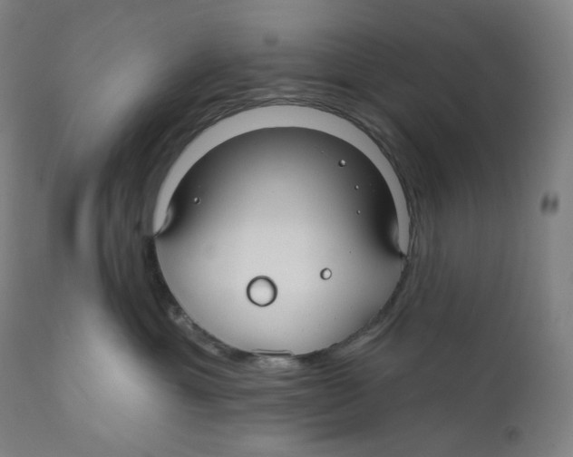 X0000110700429200907101225