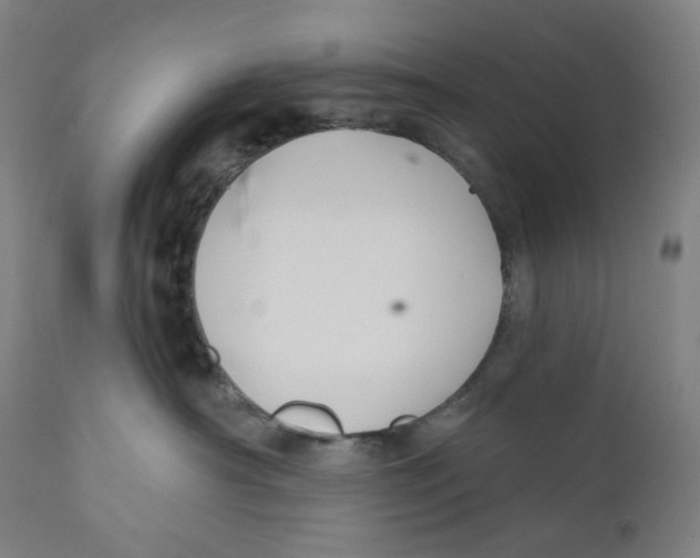 X0000110700430200907101225