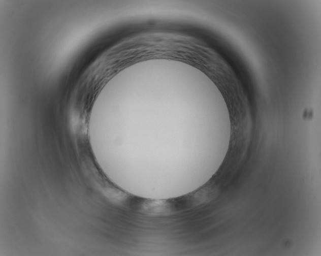 X0000110700431200907101225