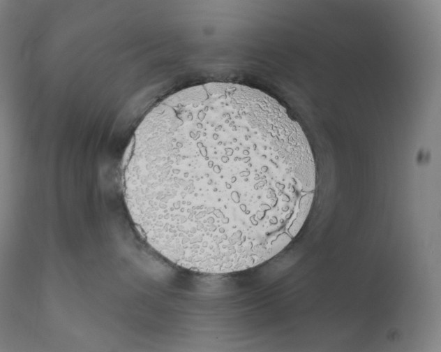 X0000110700432200907101225