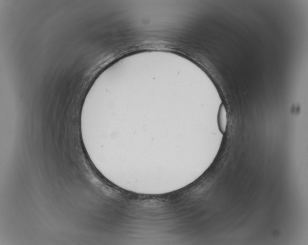 X0000110700433200907101224