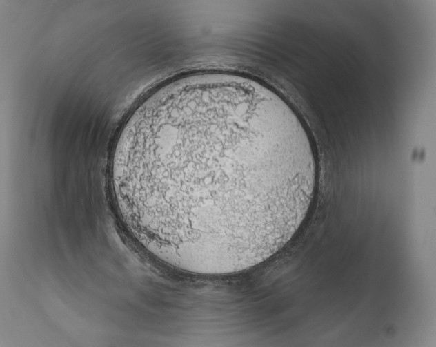X0000110700434200907101224