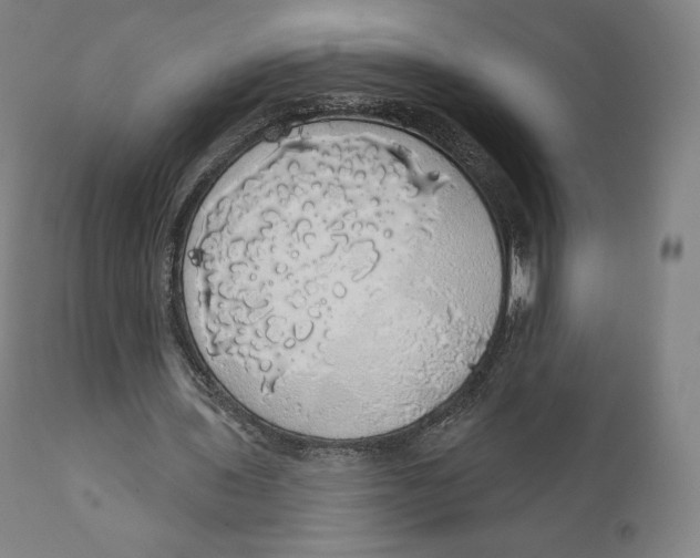 X0000110700435200907101224