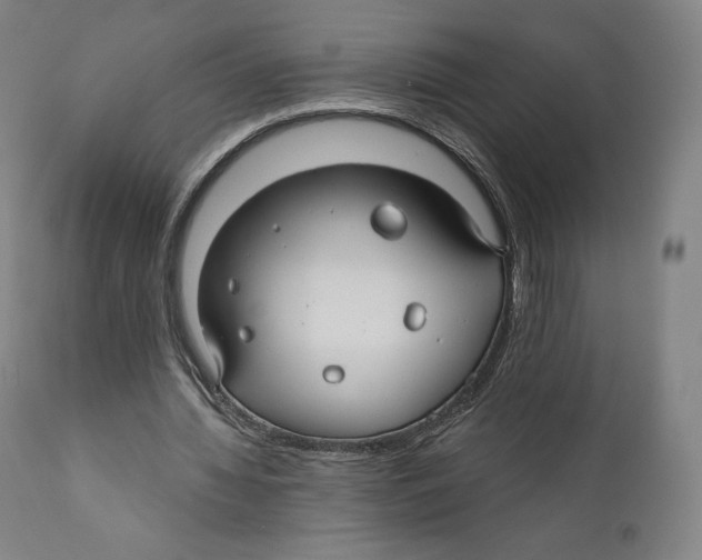 X0000110700436200907101224