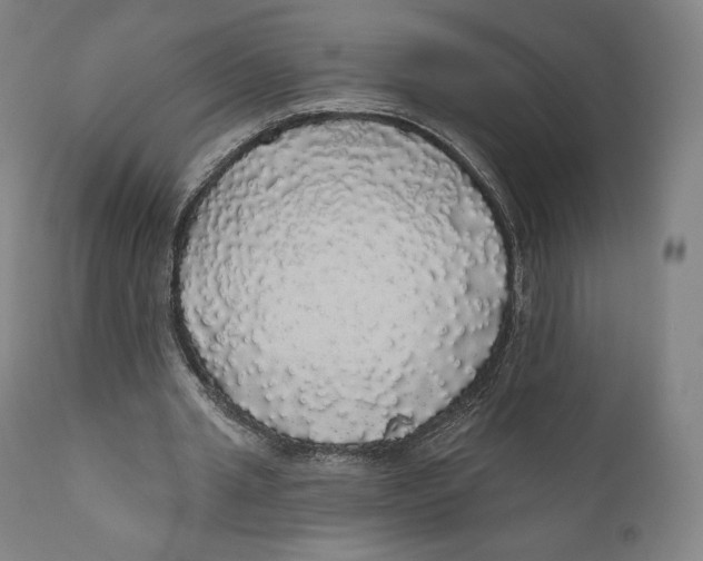 X0000110700437200907101224