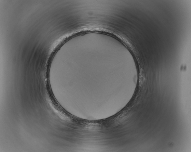 X0000110700438200907101224