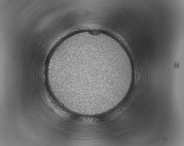 X0000110700439200907101224