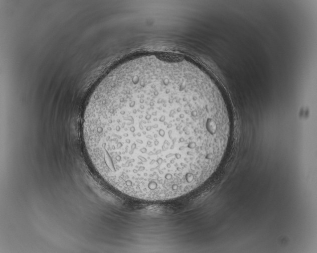X0000110700441200907101224
